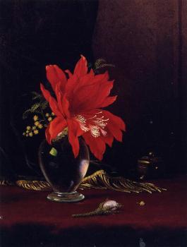 Martin Johnson Heade : Red Flower in a Vase